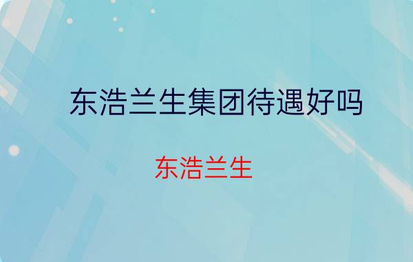 东浩兰生集团待遇好吗 东浩兰生（集团）有限公司介绍？